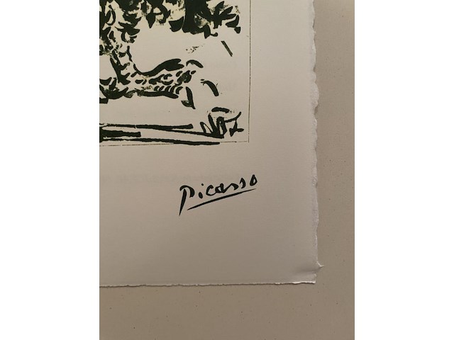 Pablo picasso - afbeelding 4 van  5