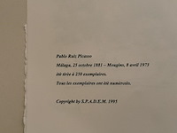 Pablo picasso - afbeelding 5 van  5