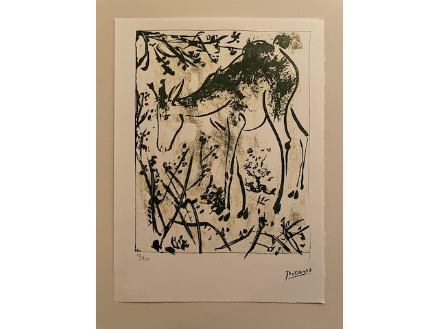 Pablo picasso - afbeelding 1 van  5