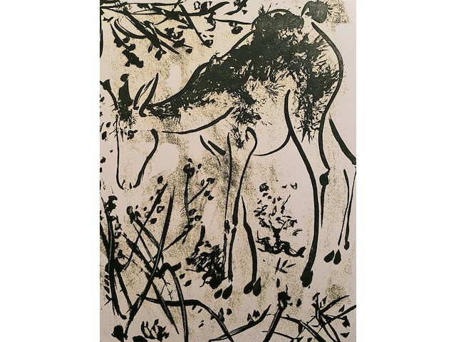 Pablo picasso - afbeelding 2 van  5