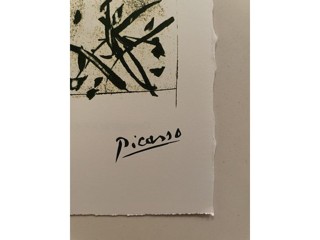 Pablo picasso - afbeelding 4 van  5