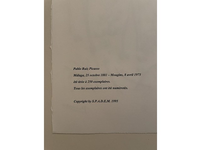 Pablo picasso - afbeelding 5 van  5