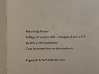 Pablo picasso - afbeelding 5 van  5