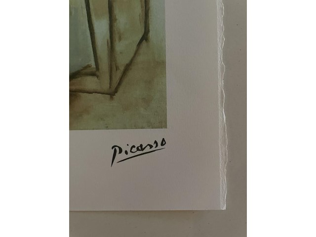 Pablo picasso - afbeelding 4 van  5