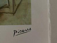 Pablo picasso - afbeelding 4 van  5