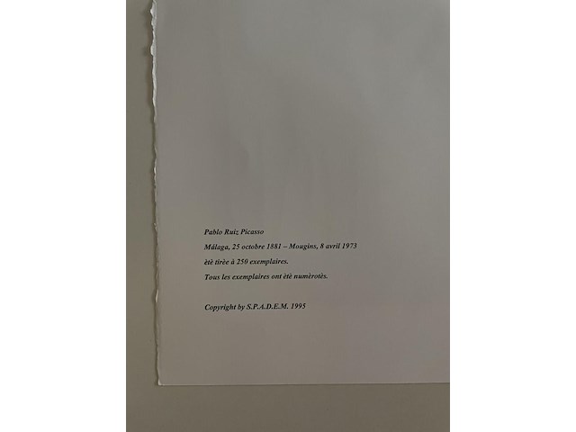 Pablo picasso - afbeelding 5 van  5