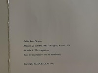 Pablo picasso - afbeelding 5 van  5