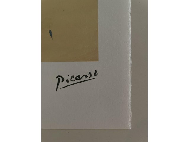 Pablo picasso - afbeelding 4 van  5