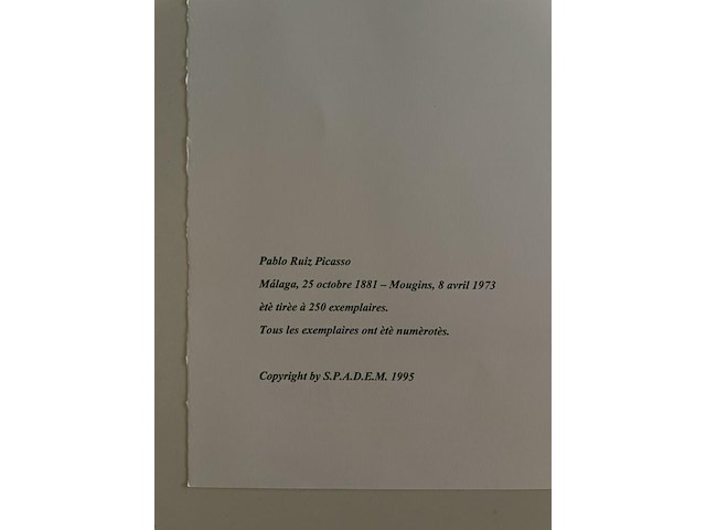 Pablo picasso - afbeelding 5 van  5