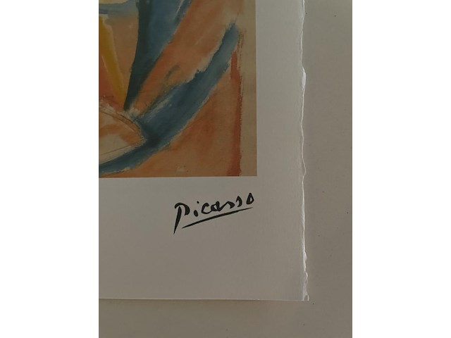 Pablo picasso - afbeelding 4 van  5