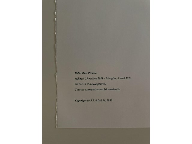 Pablo picasso - afbeelding 5 van  5