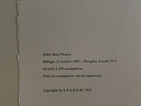 Pablo picasso - afbeelding 5 van  5