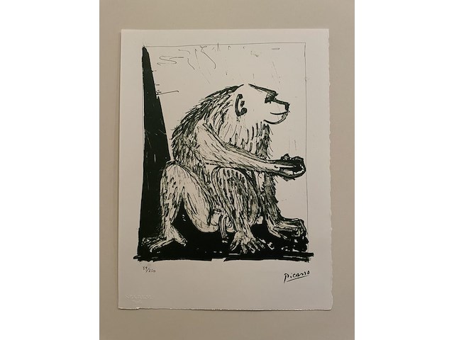 Pablo picasso - afbeelding 1 van  5