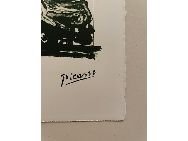 Pablo picasso - afbeelding 4 van  5