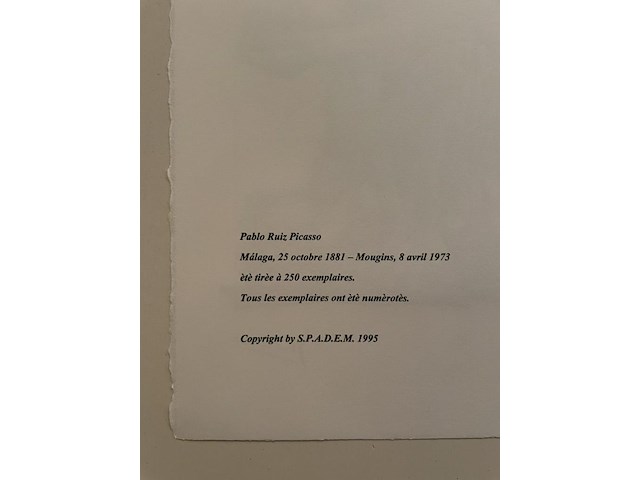 Pablo picasso - afbeelding 5 van  5