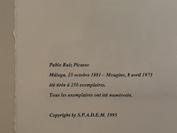 Pablo picasso - afbeelding 5 van  5