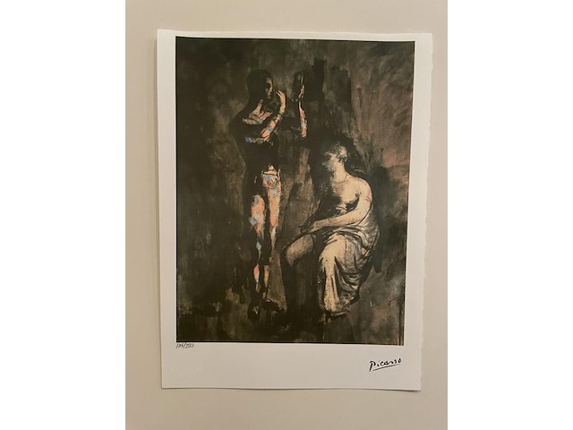 Pablo picasso - afbeelding 1 van  5