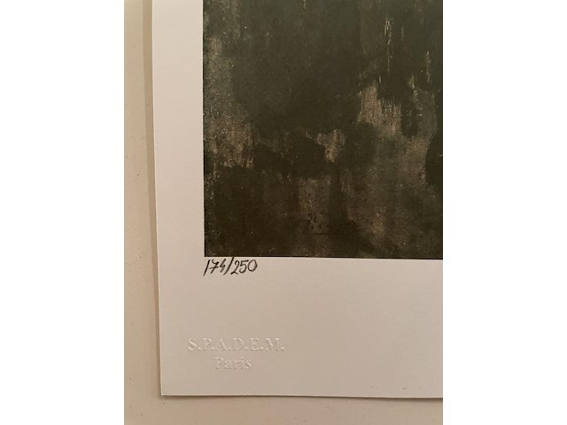 Pablo picasso - afbeelding 3 van  5