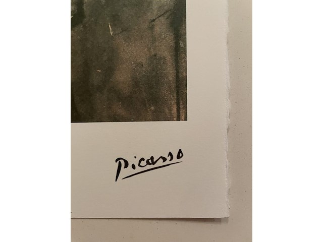 Pablo picasso - afbeelding 4 van  5
