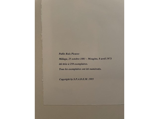 Pablo picasso - afbeelding 5 van  5