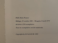 Pablo picasso - afbeelding 5 van  5