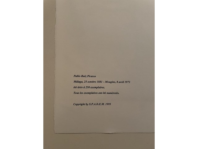 Pablo picasso - afbeelding 5 van  5