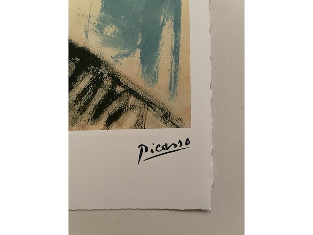 Pablo picasso - afbeelding 4 van  5