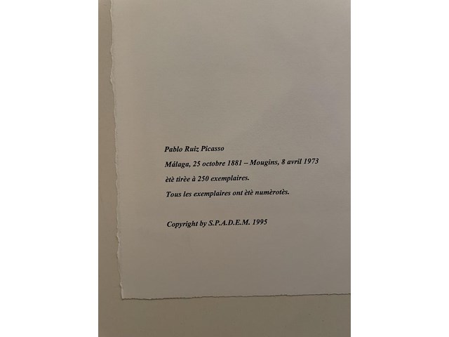 Pablo picasso - afbeelding 5 van  5