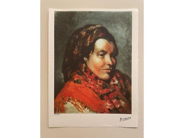 Pablo picasso - afbeelding 1 van  5