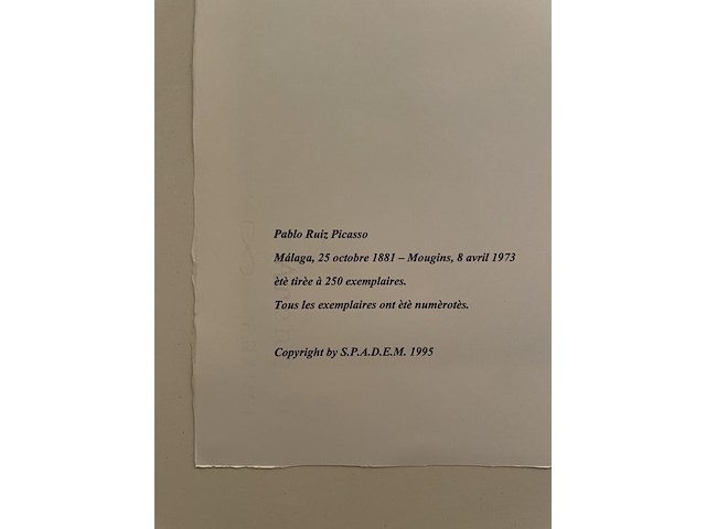 Pablo picasso - afbeelding 5 van  5