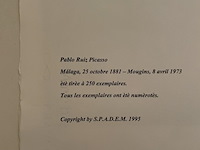 Pablo picasso - afbeelding 5 van  5