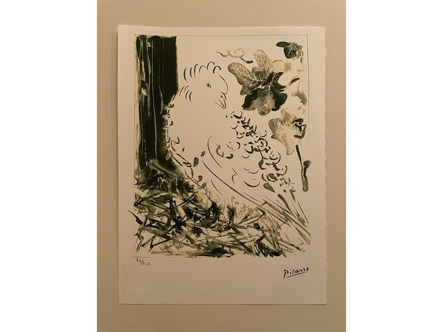 Pablo picasso - afbeelding 1 van  5