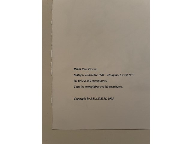 Pablo picasso - afbeelding 5 van  5