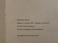 Pablo picasso - afbeelding 5 van  5