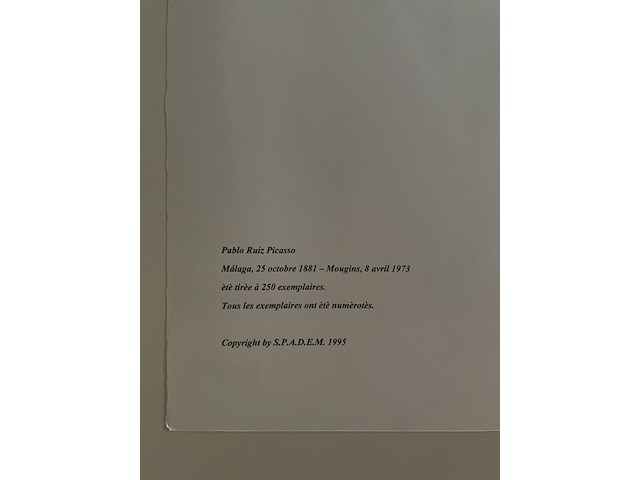 Pablo picasso - afbeelding 5 van  5