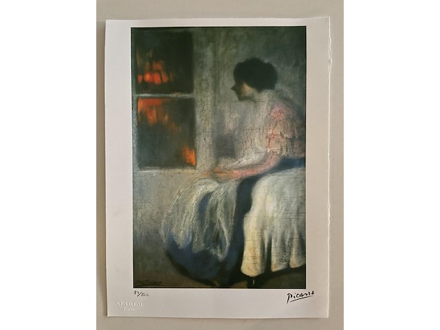 Pablo picasso - afbeelding 1 van  5