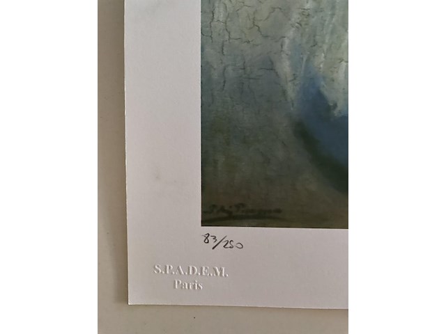 Pablo picasso - afbeelding 3 van  5