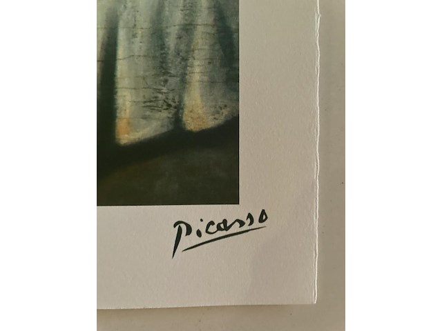 Pablo picasso - afbeelding 4 van  5