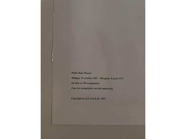 Pablo picasso - afbeelding 5 van  5