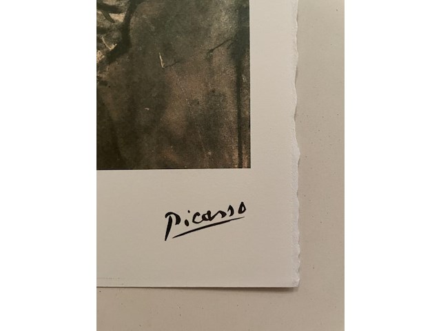 Pablo picasso - afbeelding 4 van  5