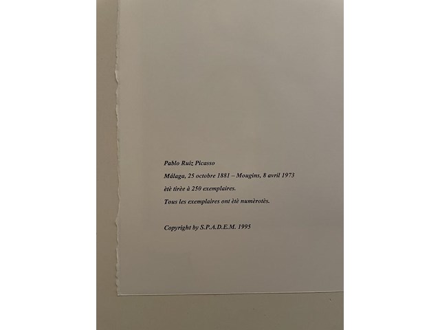 Pablo picasso - afbeelding 5 van  5