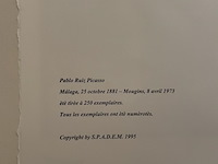 Pablo picasso - afbeelding 5 van  5