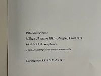 Pablo picasso - afbeelding 5 van  5