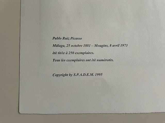 Pablo picasso - afbeelding 5 van  5