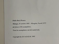 Pablo picasso - afbeelding 5 van  5