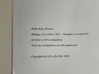 Pablo picasso - afbeelding 5 van  5