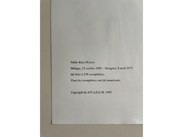 Pablo picasso - afbeelding 5 van  5