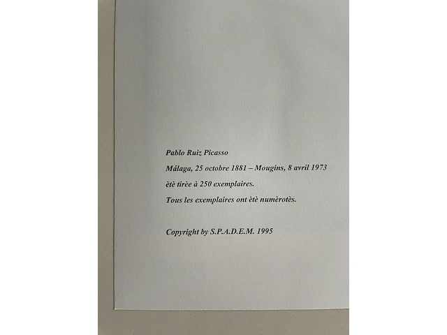 Pablo picasso - afbeelding 5 van  5