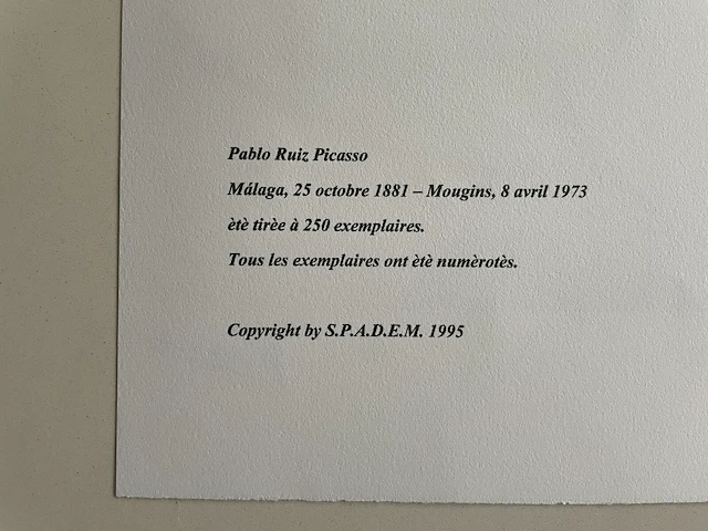 Pablo picasso - afbeelding 5 van  5