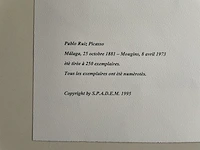 Pablo picasso - afbeelding 5 van  5